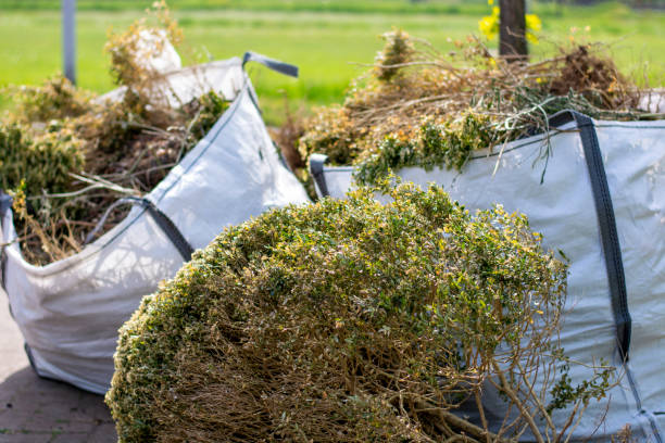 Best Local Junk Hauling  in Maywood, CA